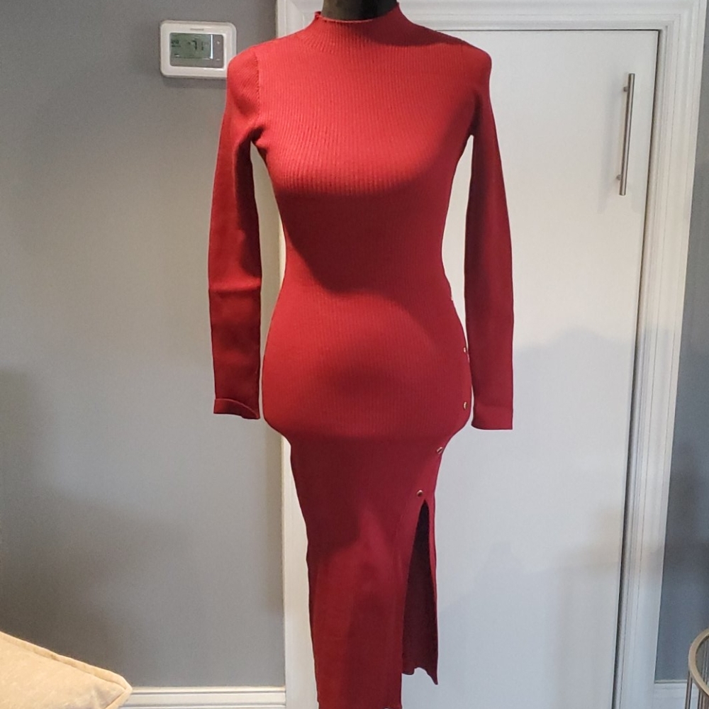 Darkish Red Dress